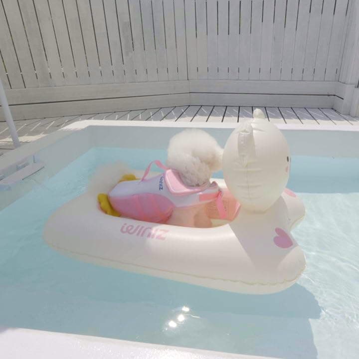 Dog Float - Pink Bear Design Inflatable Rafts for Small Medium Dogs and Puppies - Essential Pet Supplies for Summer Outdoor Water Play Pool Lake River