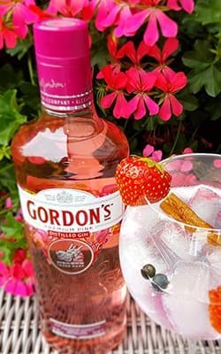Gordons Pink Gin Gift Set Box