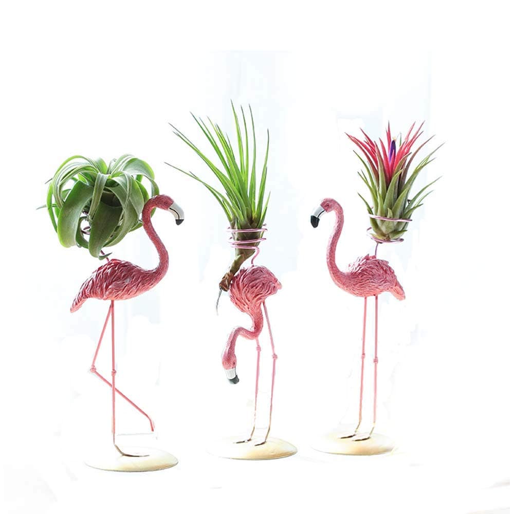 2 Tier Metal Plant Stand Table Outdoor-Multiple Plants Flower Pot Shelf Display Vertical Shelves Indoor-Tall Corner Holder Wrought Iron Planter Rack for Window Wall Black