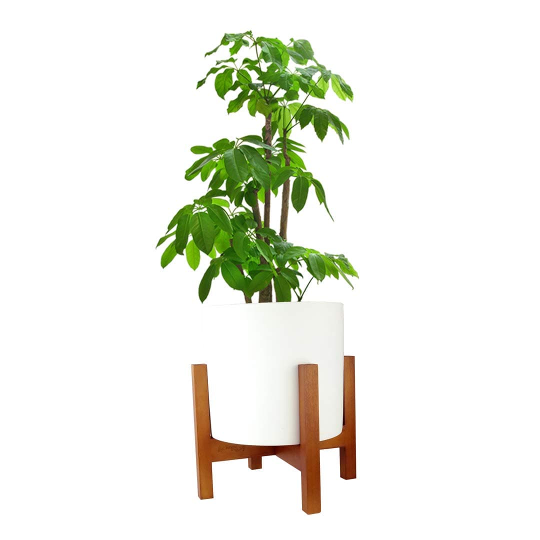 Silkoe Mid Century Plant Stand Indoor Wood Modern Planter Flower Pot Holder Brown Elegant Square Legs - Fits Up to 12 Inches Pot (Plant and Pot NOT Included)