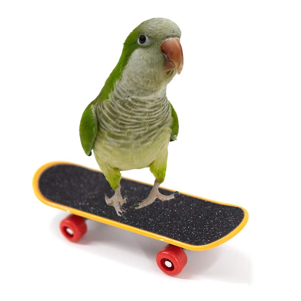 YINGGE Bird Climbing Toys Mini Scrub Scooter Skateboard Training Toys for Pet Small and Medium Parrots Parakeets, Cockatiels, Lovebirds, Sun Conures, Caique