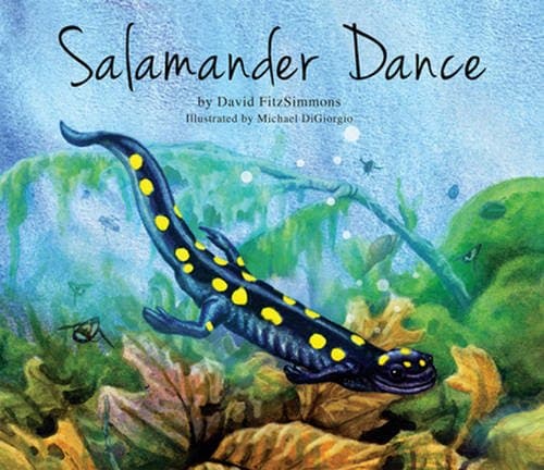Salamander Dance Hardcover – Picture Book, April 1, 2016