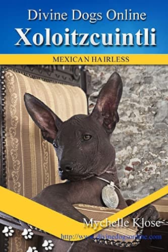 Xoloitzcuintli: Divine Dogs Online Paperback – July 4, 2013