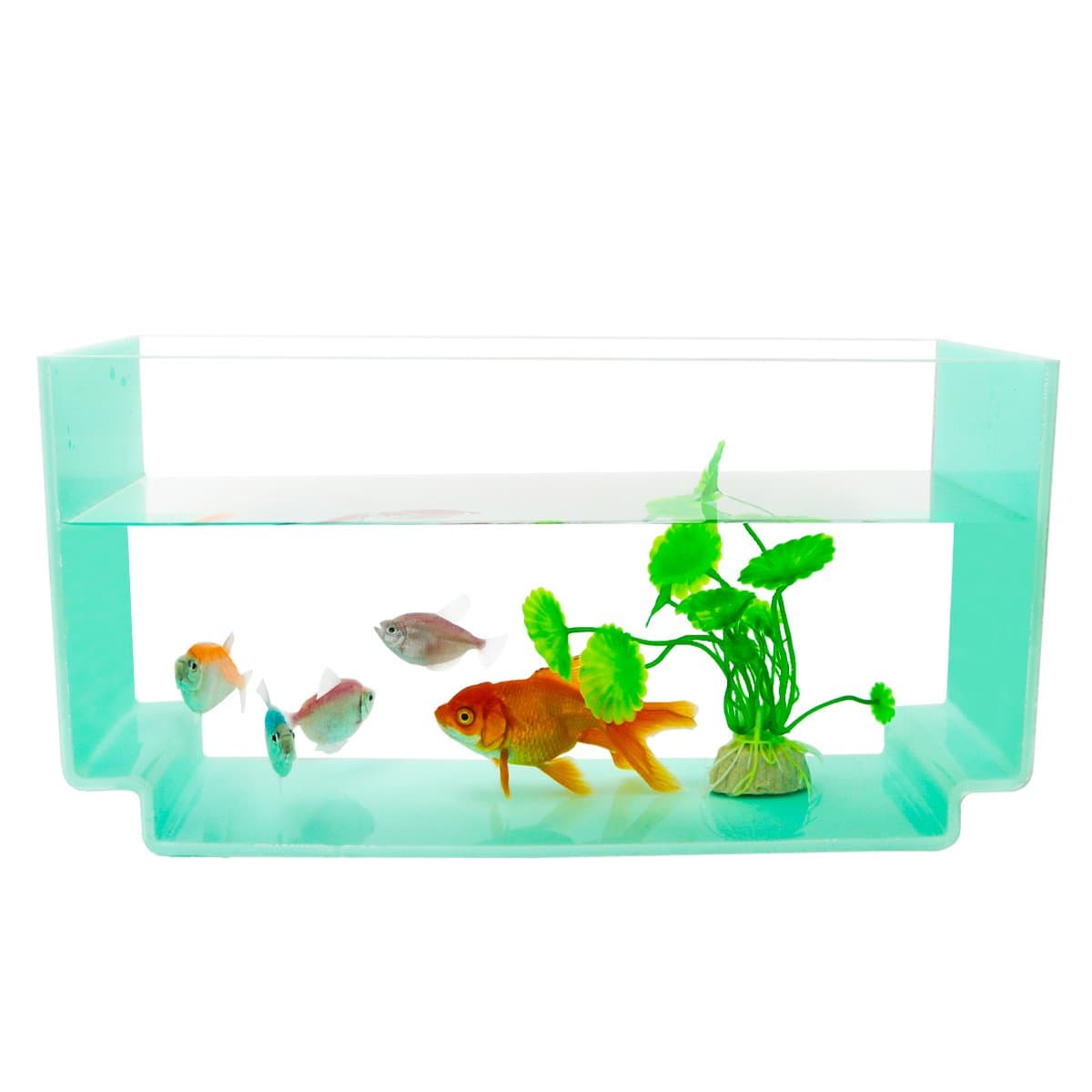 NewCrea 1.3 Gallon Fish Tank,Fish Bowl For Betta Fish,Acrylic Aquarium for Home,Office Desk,Green,Rectangle