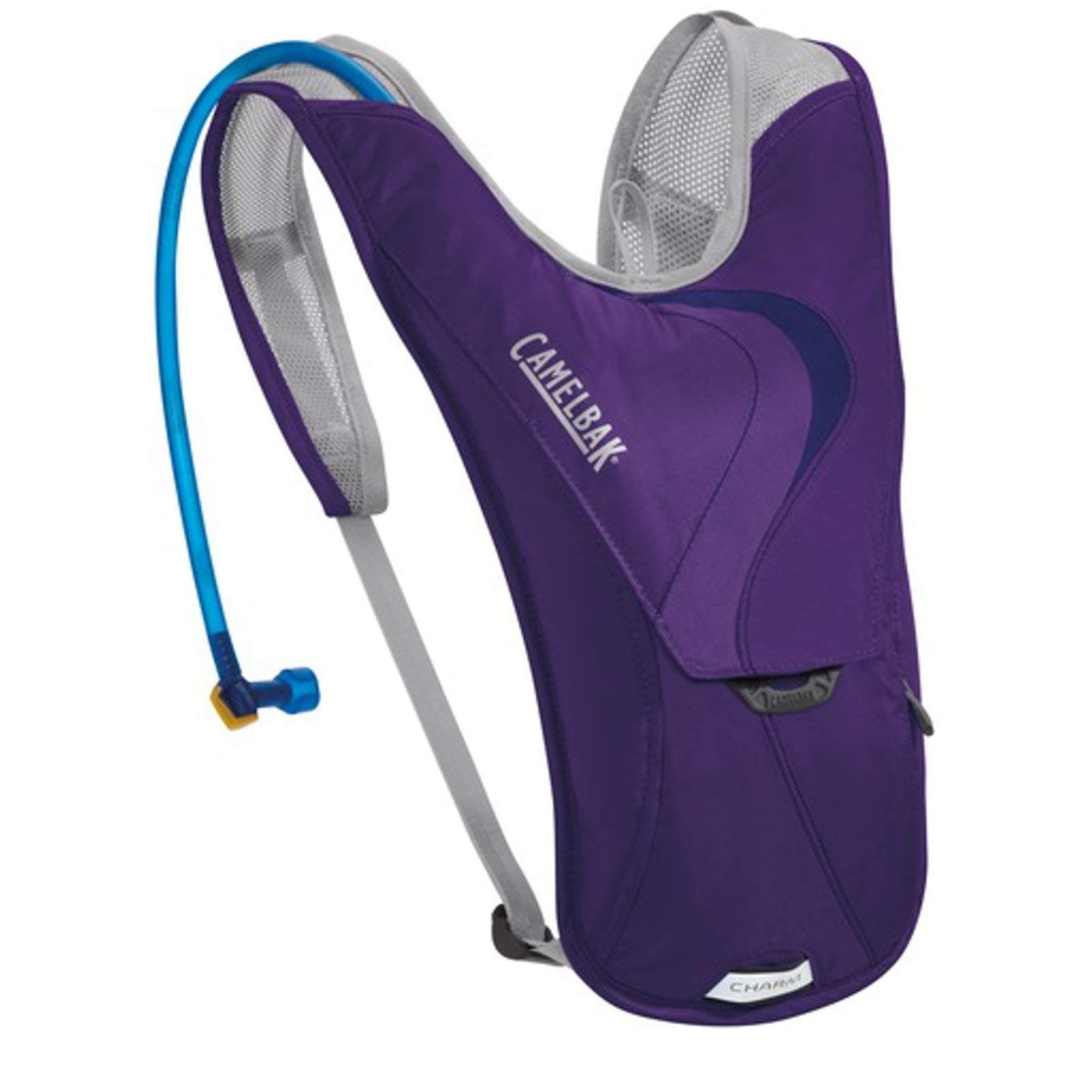 CamelBak Charm Hydration Backpack - Women's Purple Majesty, One Size