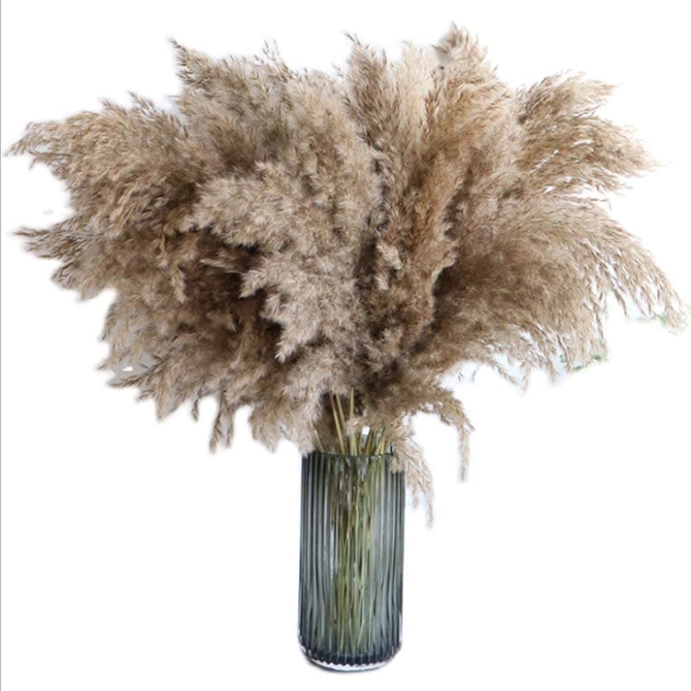 XIUWOO Pampas Grass Large - 20 Stems of 60cm, Natural Large Pampas Grass. Dried Pampas Grass Decor Wedding Flower Bunch Natural Plants Decor Reed Flower Bouquet