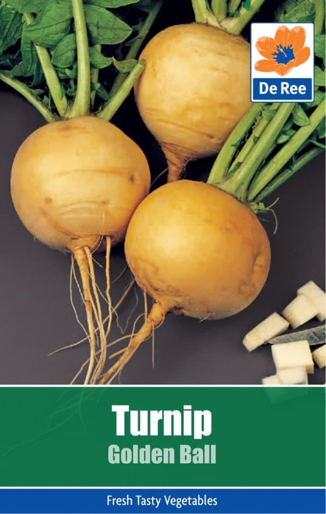 2 Packs of Turnip Golden Ball Seeds, Approximately 695 seeds per pack, 1390 in total