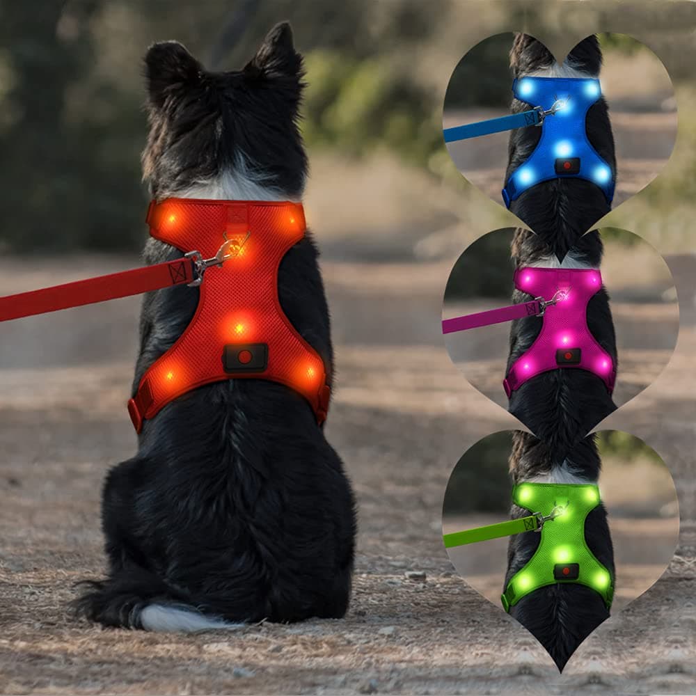 USB Rechargeable LED Dog Harness - Glowing Pet Harness Mesh Light Up Dog Vest Apparel for Small Dogs (S, Red)