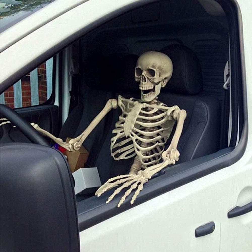 Windyeu Halloween Decorations Anatomical Skeleton Model Life Size 165cm Party Halloween Hanging Props Graveyard Bones