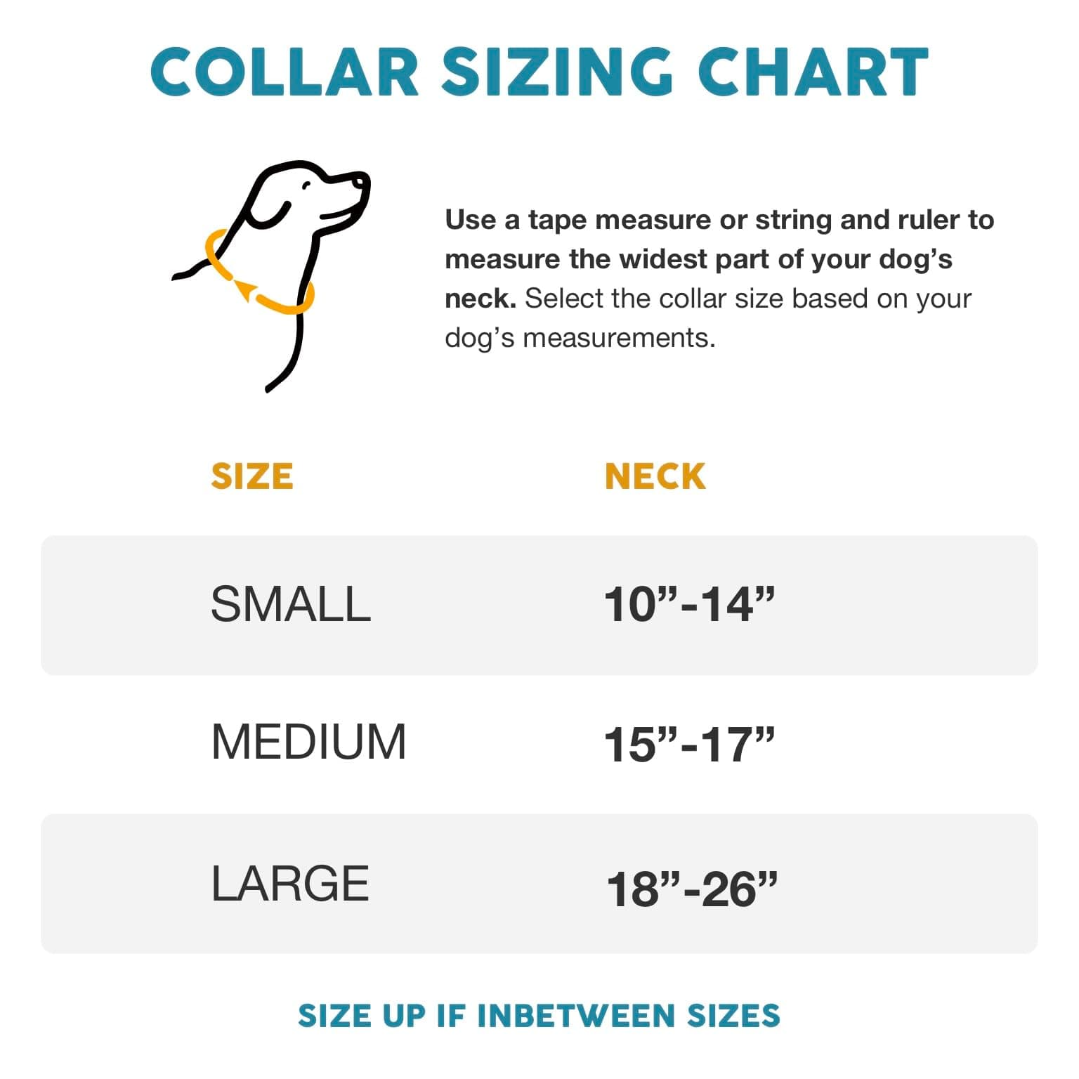 Embark Adventure Dog Collar – Stylish & Durable Nylon Dog Collars for Large Dogs, Comfortable Pet Collar, Collars for Large Breed Dogs with Strong Buckles. Adjustable Big Dog Collars for Large Dogs