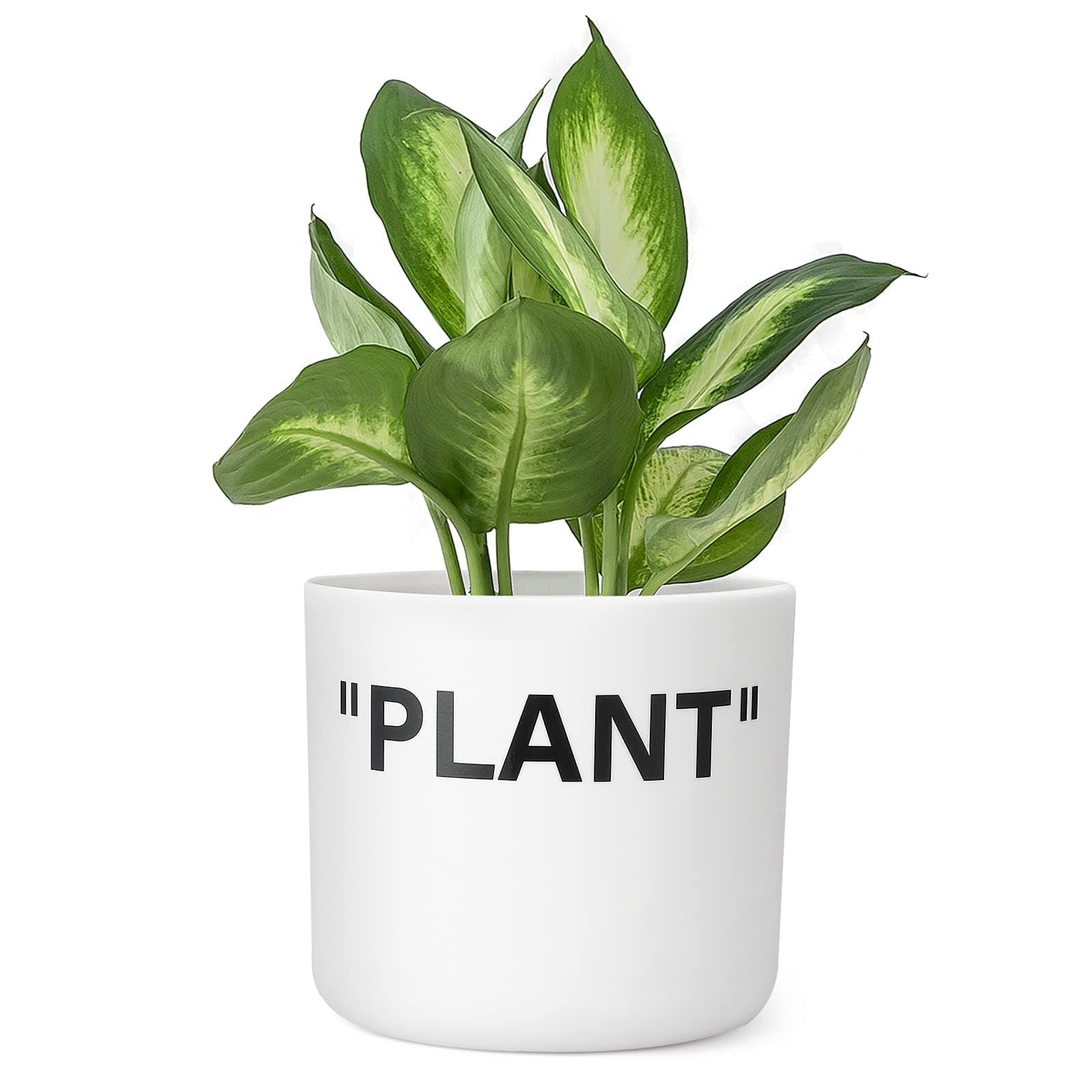 TwoDays Off-White Inspired Sneaker Planter, Hypebeast Room Decor, Small 5 Inch Cylinder White Plastic Indoor Plant Pot with Built in Drainage Hole, Mini Flower Pot, Sneakerhead Gift.