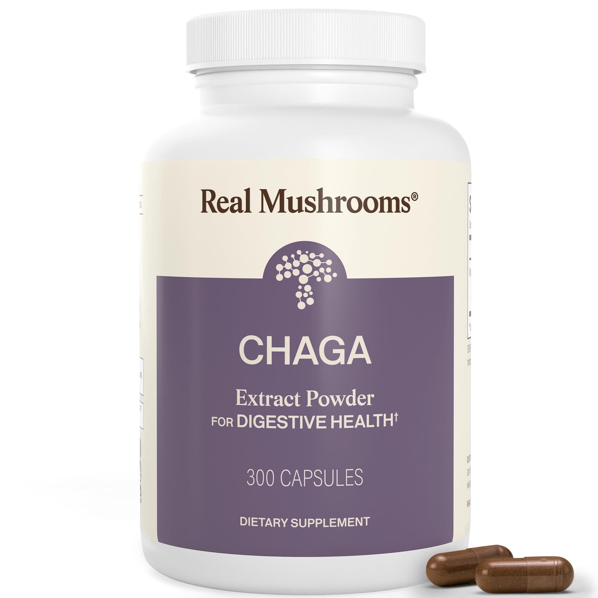 Chaga Extract Supplement 300 caps, 500mg Organic Chaga Powder Capsules, Antioxidant & Immune System Booster, Vegan & Non-GMO Chaga Sclerotium Extract, No Fillers