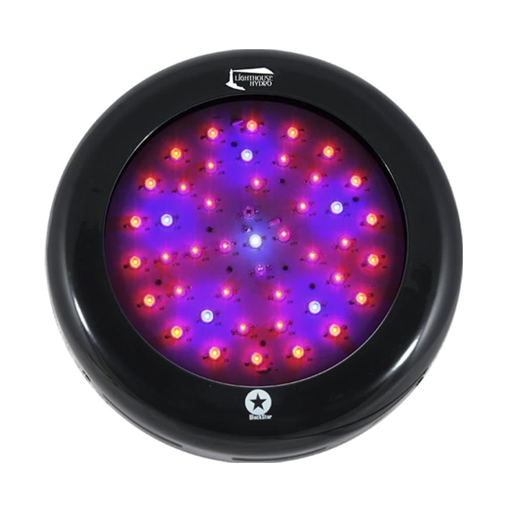 BlackStar Flowering LED Grow Light, 135-watt