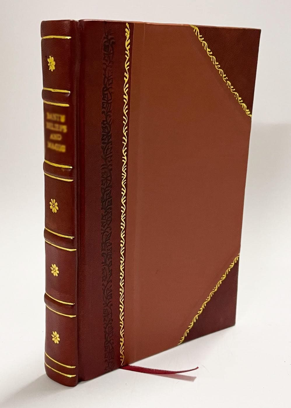Haakon Haakonsen : En Norsk Robinson / Ved Falck Ytter (1873) [Leather Bound]