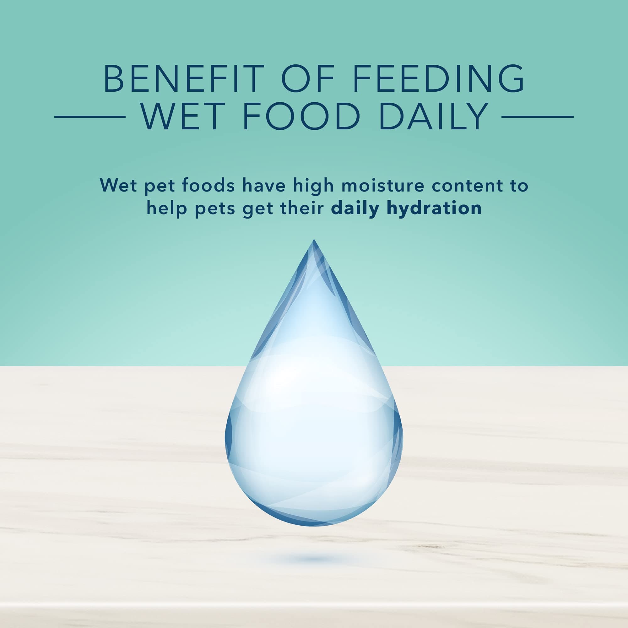 Blue Buffalo True Solutions Small & Mighty Natural Wet Food for Adult Small Breed Dogs, Chicken, 5.5-oz cans (24 Count)