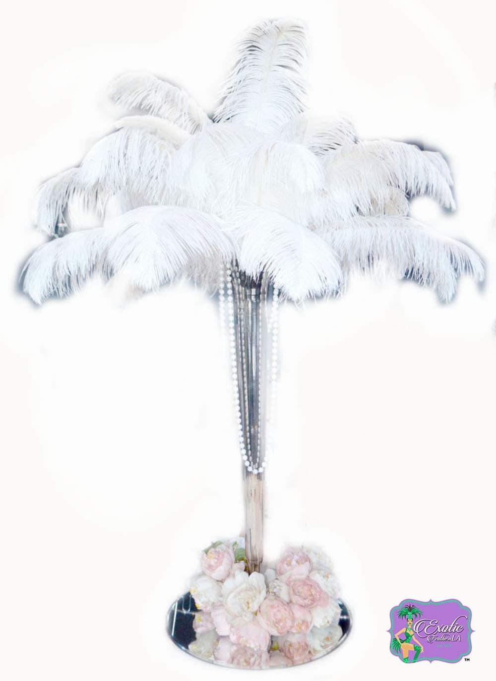 Special Sale WHITE OSTRICH Feathers Wholesale Bulk 12/14" long DELUXE Tail Feathers WHITE Qty 10 pcs. 'The White Swan Collection' Brand Name 'Exotic Feathers' MFG. RR Perfect Combination