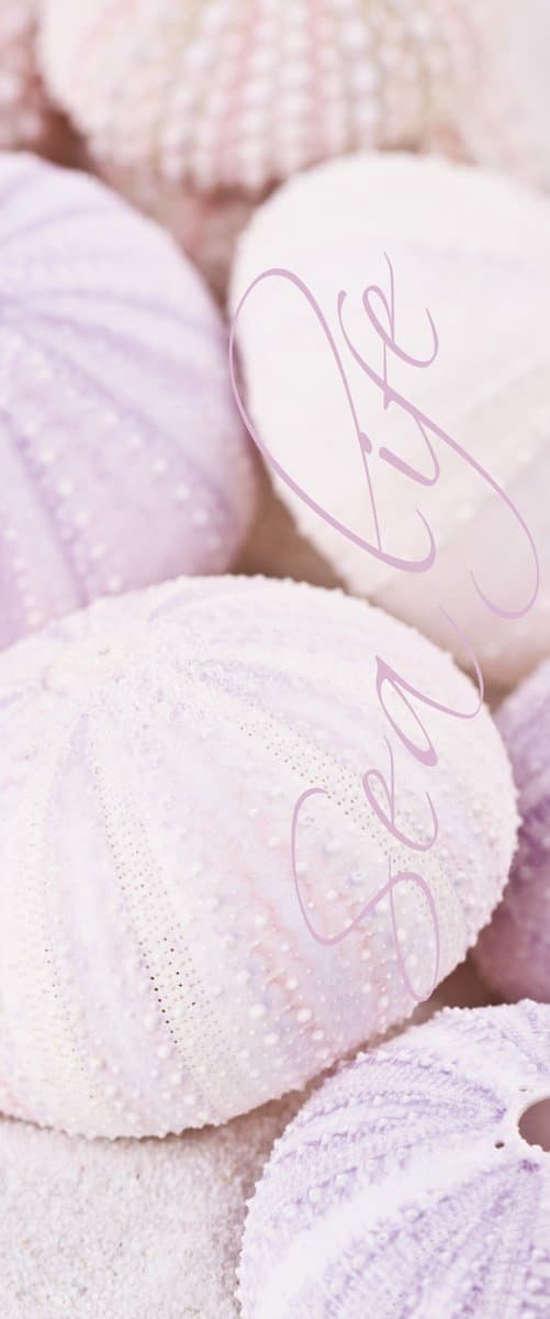 Platin Art Deco Home Decorative Room Divider, Sea Life, 3-Feet 3-Inch by 7-Feet 10-Inch