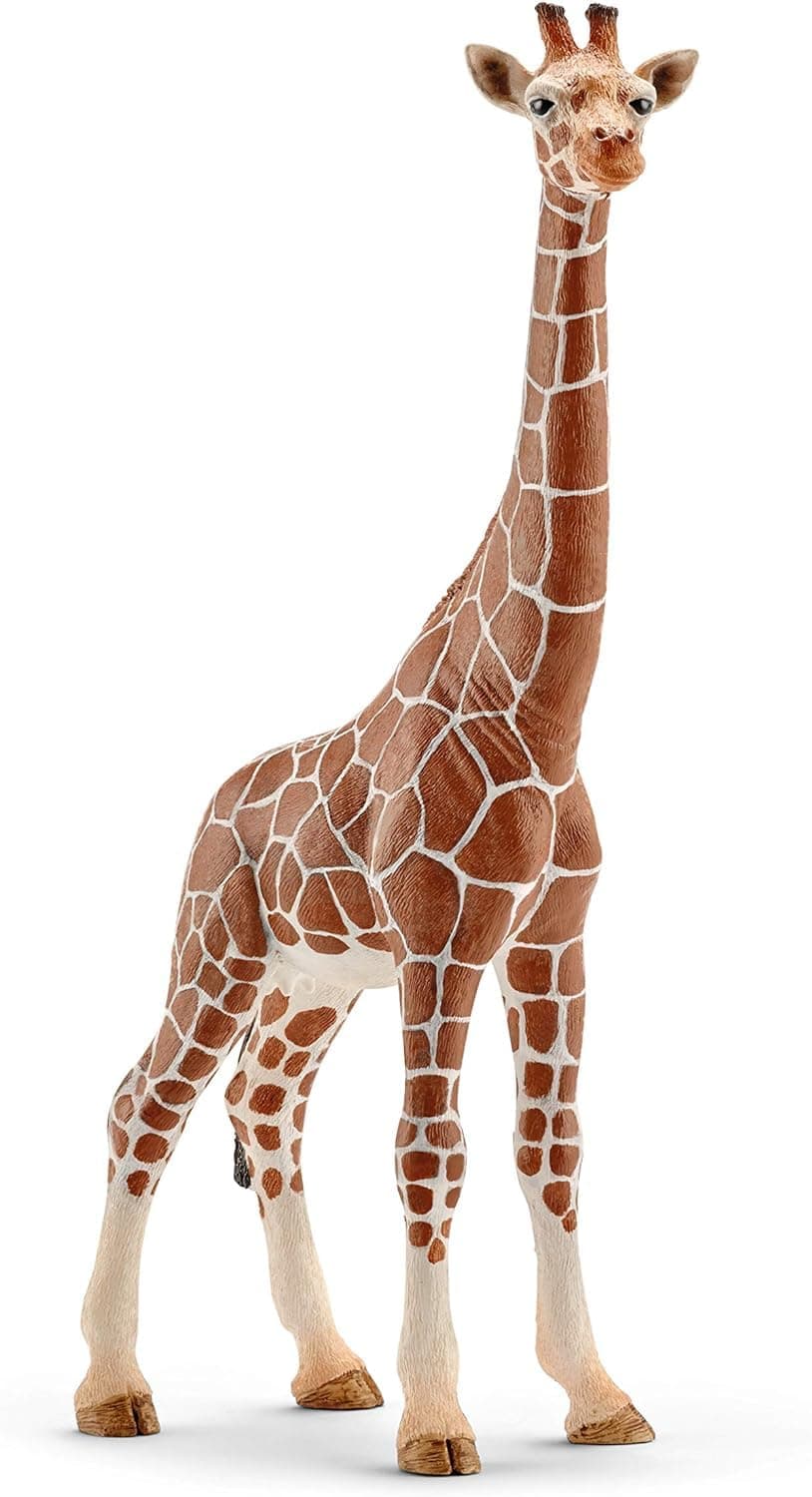 SCHLEICH Wild Life - Realistic 7" Giraffe Animal Toy - Durable Giraffe Figurine for Educational Screen-Free Play - African Safari Wildlife Rescue Animal Figure - Boys and Girls 3+ | 14750