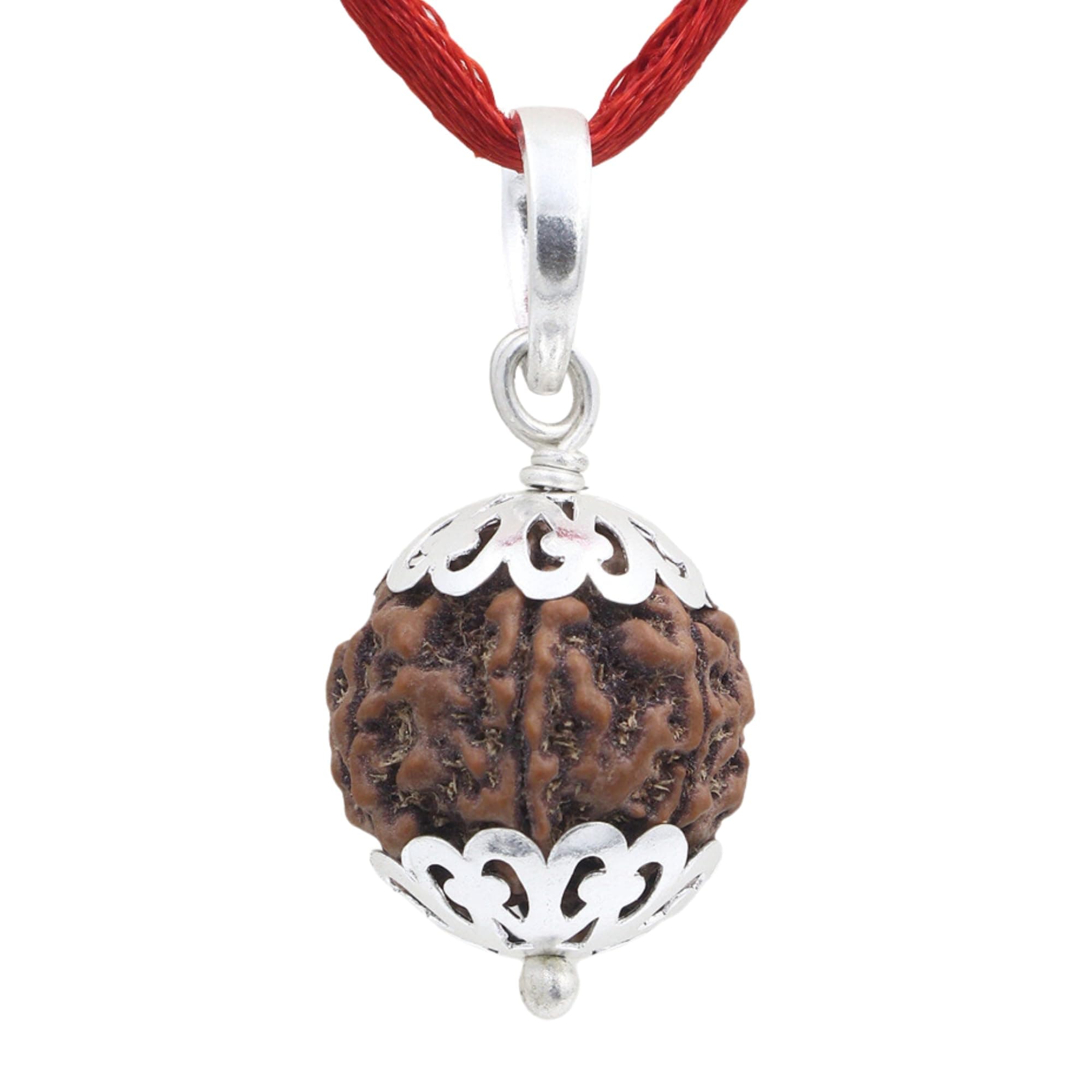 SHIVALOKA 5 Mukhi Rudraksha Original Certified Silver Pendant | 20 mm size | Five Face Nepal Origin | For Men and Women | Laboratory Report |