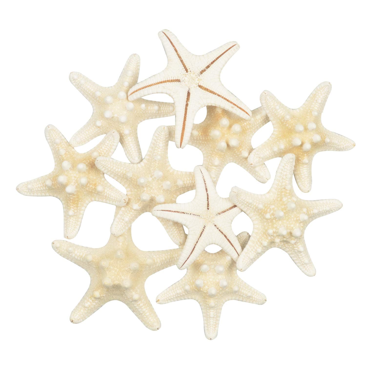 LLC Starfish Mixed Starfish Natural Colorful Shells Perfect for Wedding Beach Theme Party Home Decoration Crafts Fish Tank Fishing Net Decoration (10 Pieces Small)