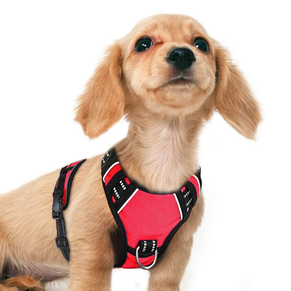 Dog Harness No Pull - Adjustable Pet Chest Harnesses with 2 Clips - 3M Reflective Oxford Material for Safe Control - Easy Walk Vest for Small Large Breed (Red) (S)