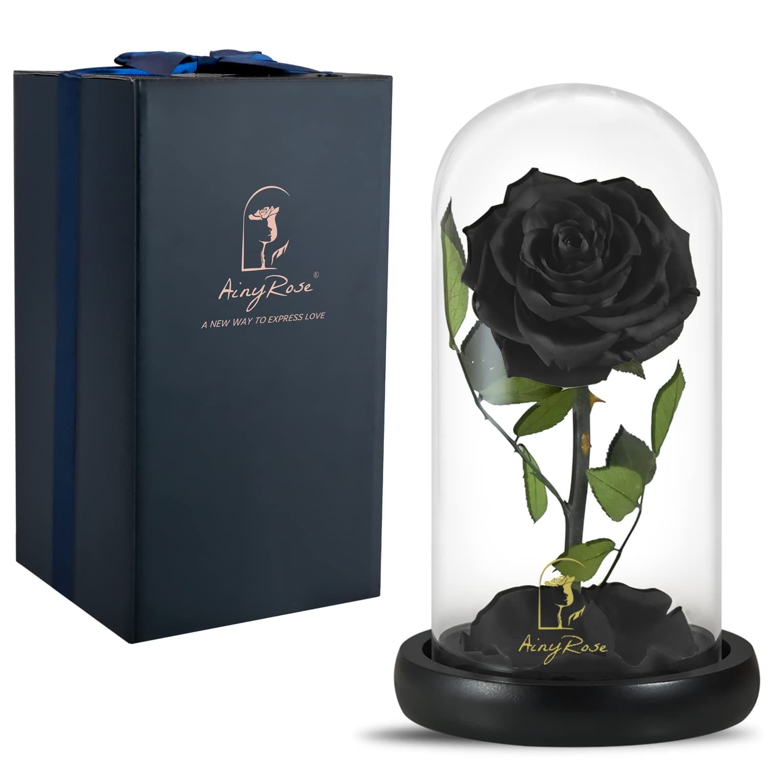 - SW Forever Preserved Real Black Rose Flower Birthday Gift for Mom Women,Valentines Eternal Flower in Glass Gifts for Mothers Day Christmas Anniversary Birthday (Black)