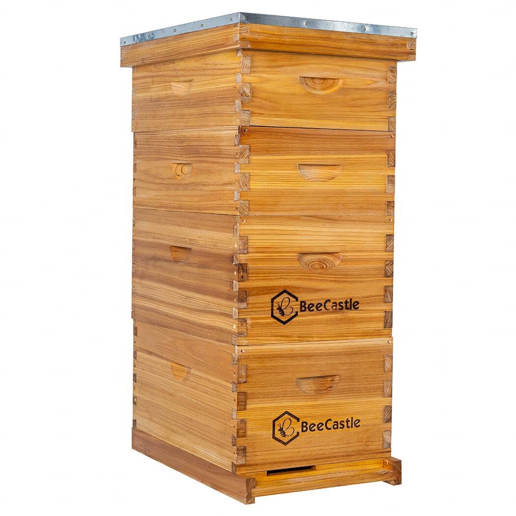 8 Frame Langstroth Bee Hive Coated with Beeswax Includes Beehive Frames and Waxed Foundations (2 Deep Boxes & 2 Medium Boxes)