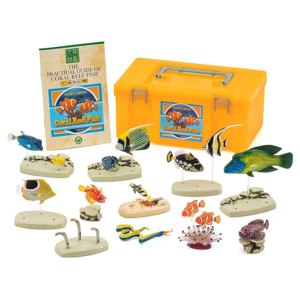 (Companion of fish that live in the coral reef) three-dimensional picture book Real Figure box Coral Reef Fish (japan import)