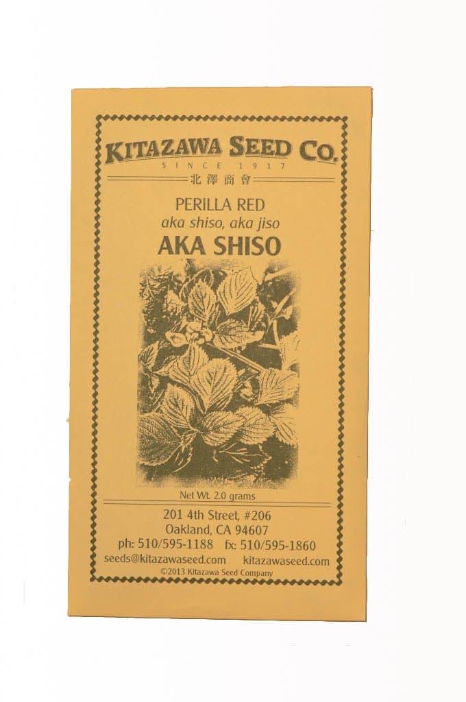 Red Perilla - Aka Shiso