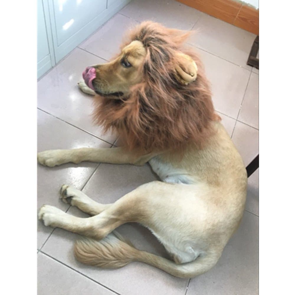 Dog Wig Lion Mane - Iceye Dog Costume Wig Realistic & Funny Dog Wigs for Medium to Large Dogs (Dark brown mane with ear)