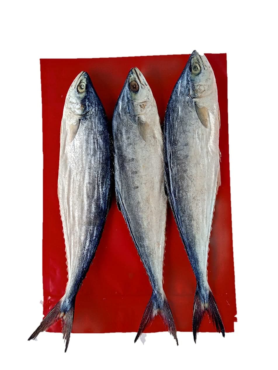 FRESH AROMA Dry Fish : Dried Pala Meen/Palaka Meen/ Leather Fish-800gm (Talang Queen Fish)- (Dry Fish / Dried Seafood)