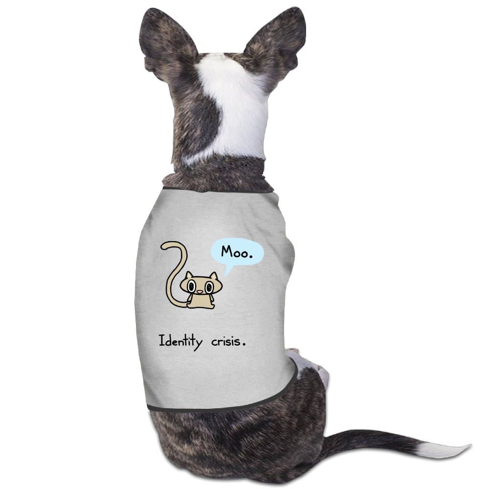 Identity Crisis Cat Dog Hoodies Magical