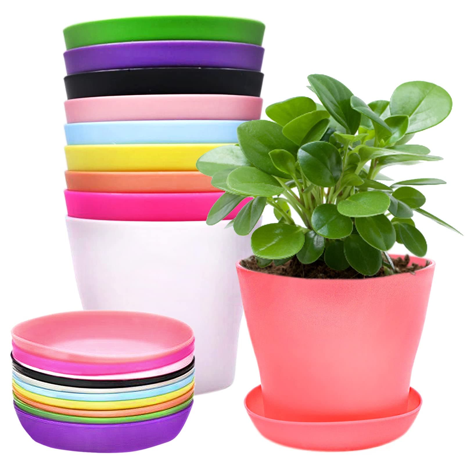 10 Pieces Colorful Plastic Flower Pots Mini Plant Pots Plastic with Drip Trays for Seedlings Miniature Plants for Garden Office Balcony Decoration 10 Colors