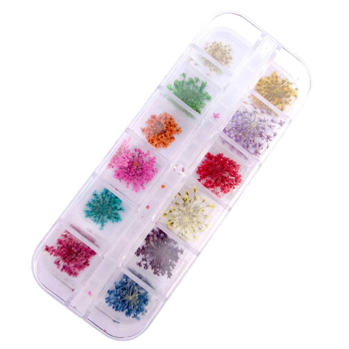 12 Color Real Dried Flower Case Nail Art Tips Decoration Design