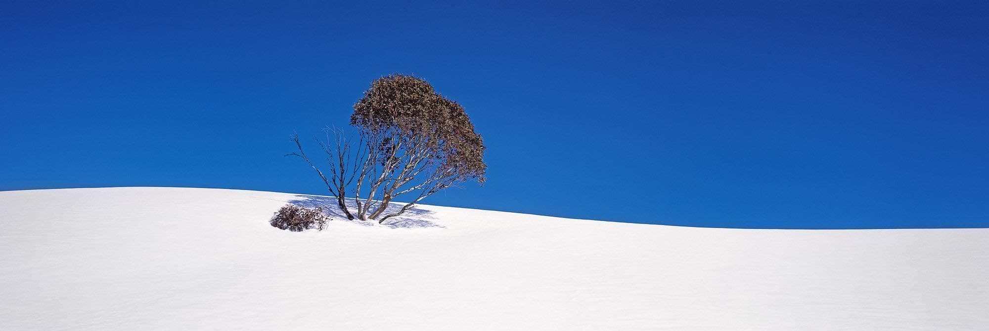 Solitude - Fine Art Panoramic Landscape Photography - Decore for Home and Office