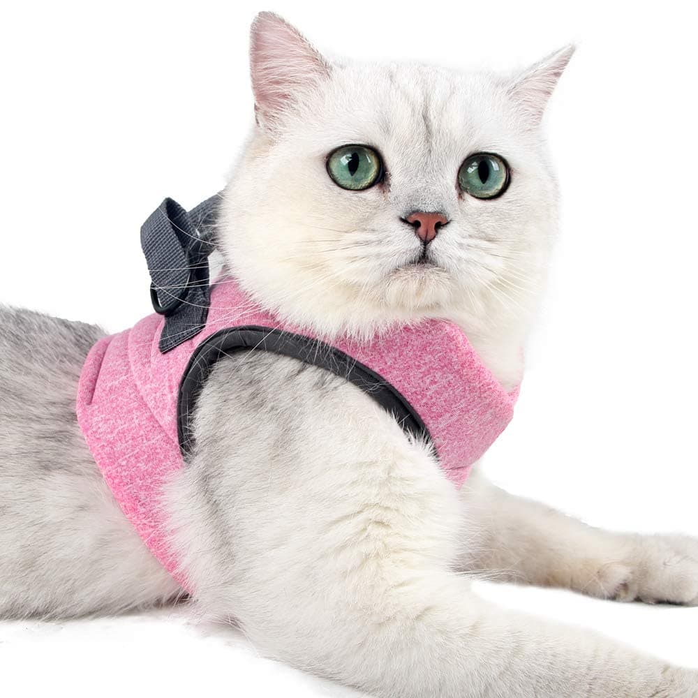 Heywean Cat Harness and Leash - Ultra Light Escape Proof Kitten Collar Cat Walking Jacket with Running Cushioning Soft and Comfortable Suitable for Puppies Rabbits (S, Pink)