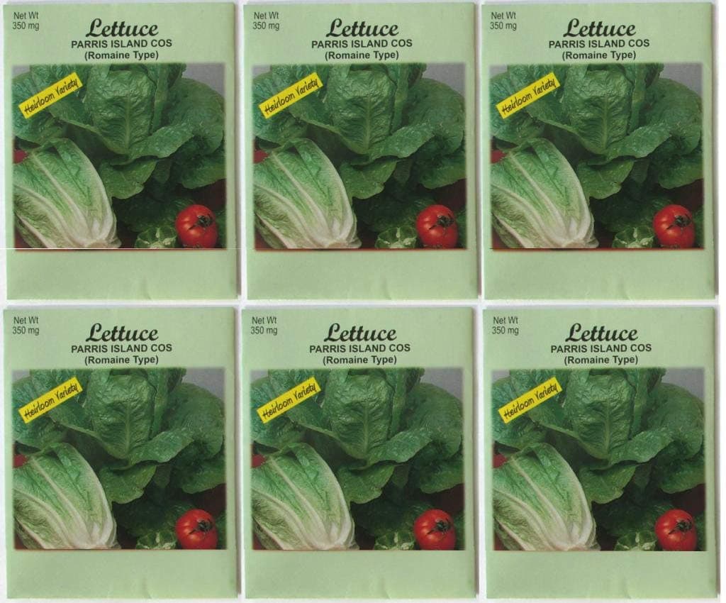 (6 Pack) Heirloom Variety Romaine Lettuce Seeds 350 mg/pack Non GE Seeds