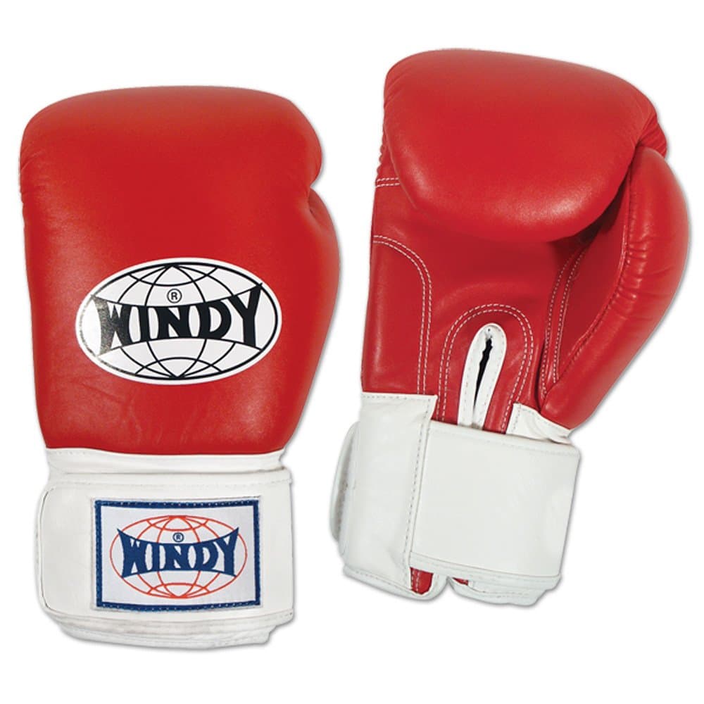 Windy Thai Style Sparring Gloves
