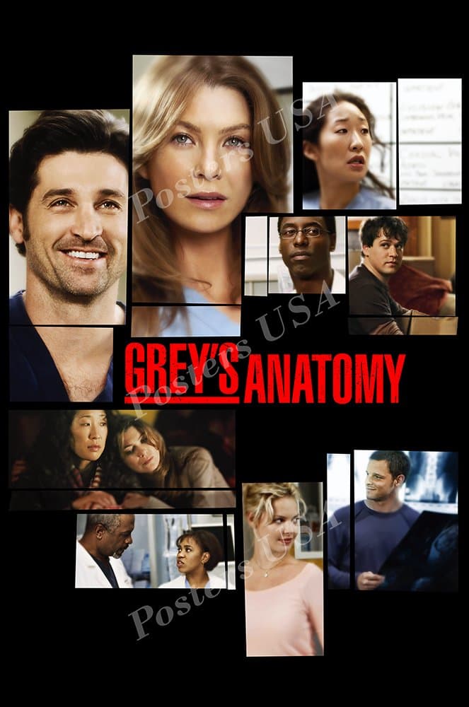 Posters USA Grey's Anatomy TV Series Show Poster GLOSSY FINISH - TVS123 (24" x 36" (61cm x 91.5cm))
