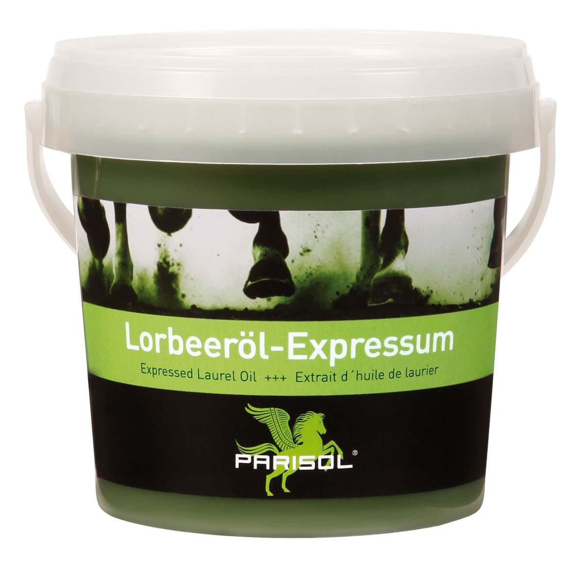 Parisol Laurel Berry Oil Expressum - 500 ml - Green