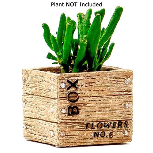 Succulent Planter / Cactus Planter - 3.25 Inch Tan Cement Flower Box Container - by TERRARIUMS FOR SALE