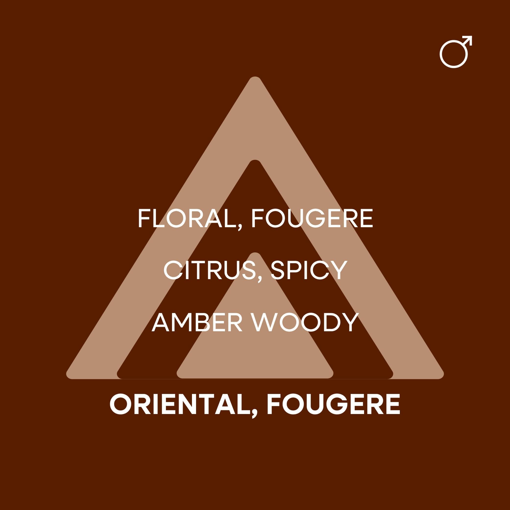 Colour Me Homme Gold Eau de Toilette Spray for Men 90ml