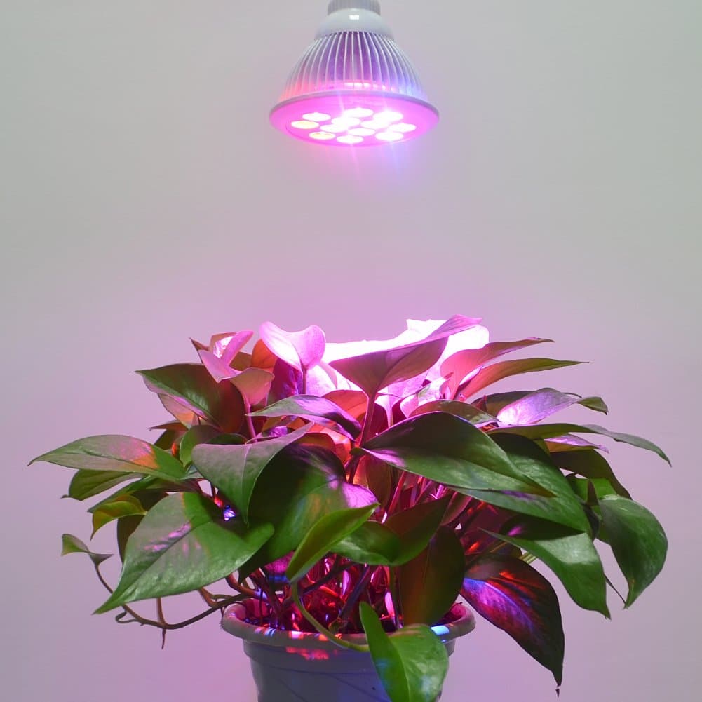 LED Grow Lights for Indoor Plants, 16W Grow Lamp for Gardening Greenhouse and Hydroponics, E26 E27