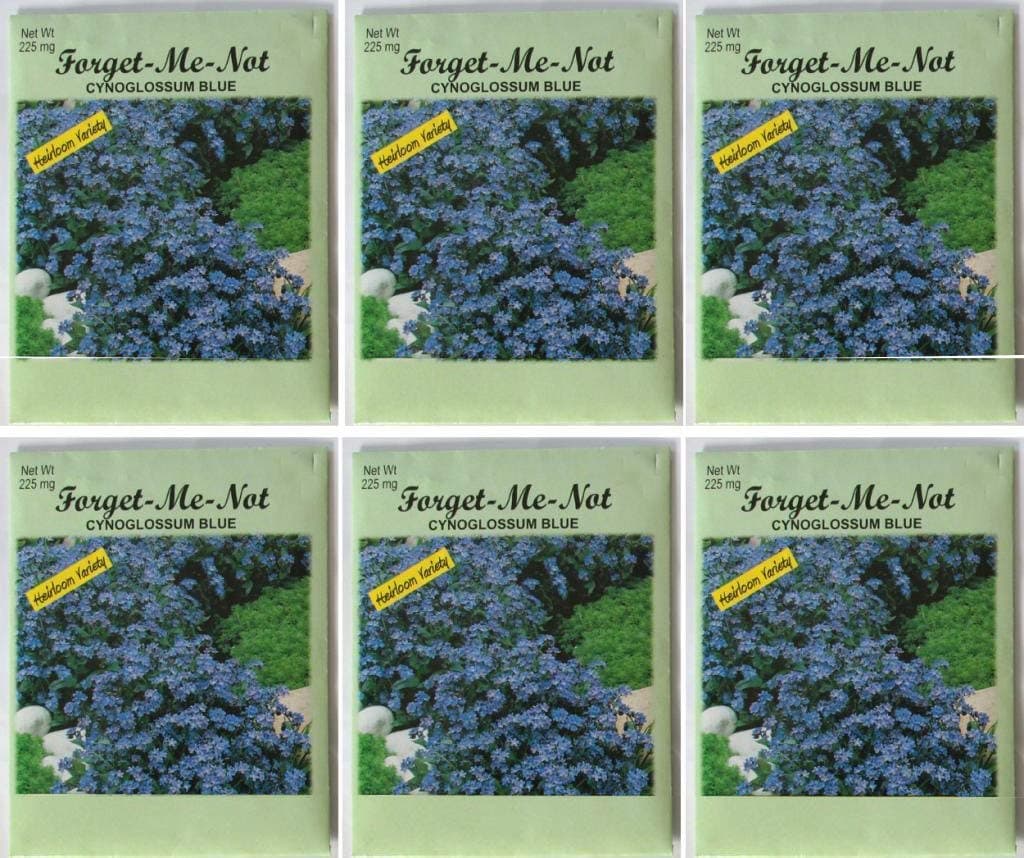 Valley Greene (6 Pack) Heirloom Variety Cynoglossum Blue Forget-Me-Not Flower Seeds 225 mg/package Non GE Seeds