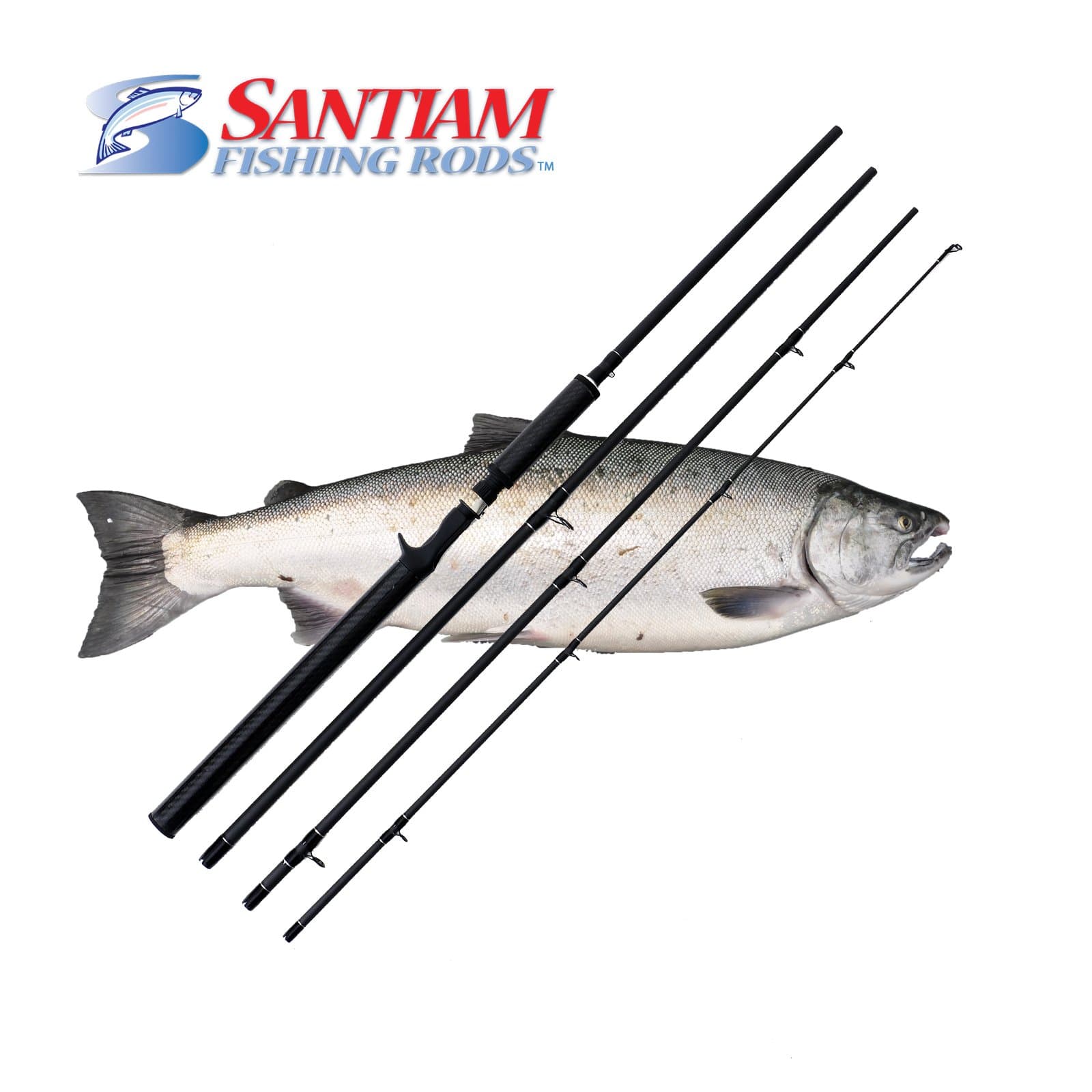 Santiam Fishing Rods 4 Piece 10'6'' 15-40lb Graphite Travel Casting/Trolling Rod w/Carbon Handle