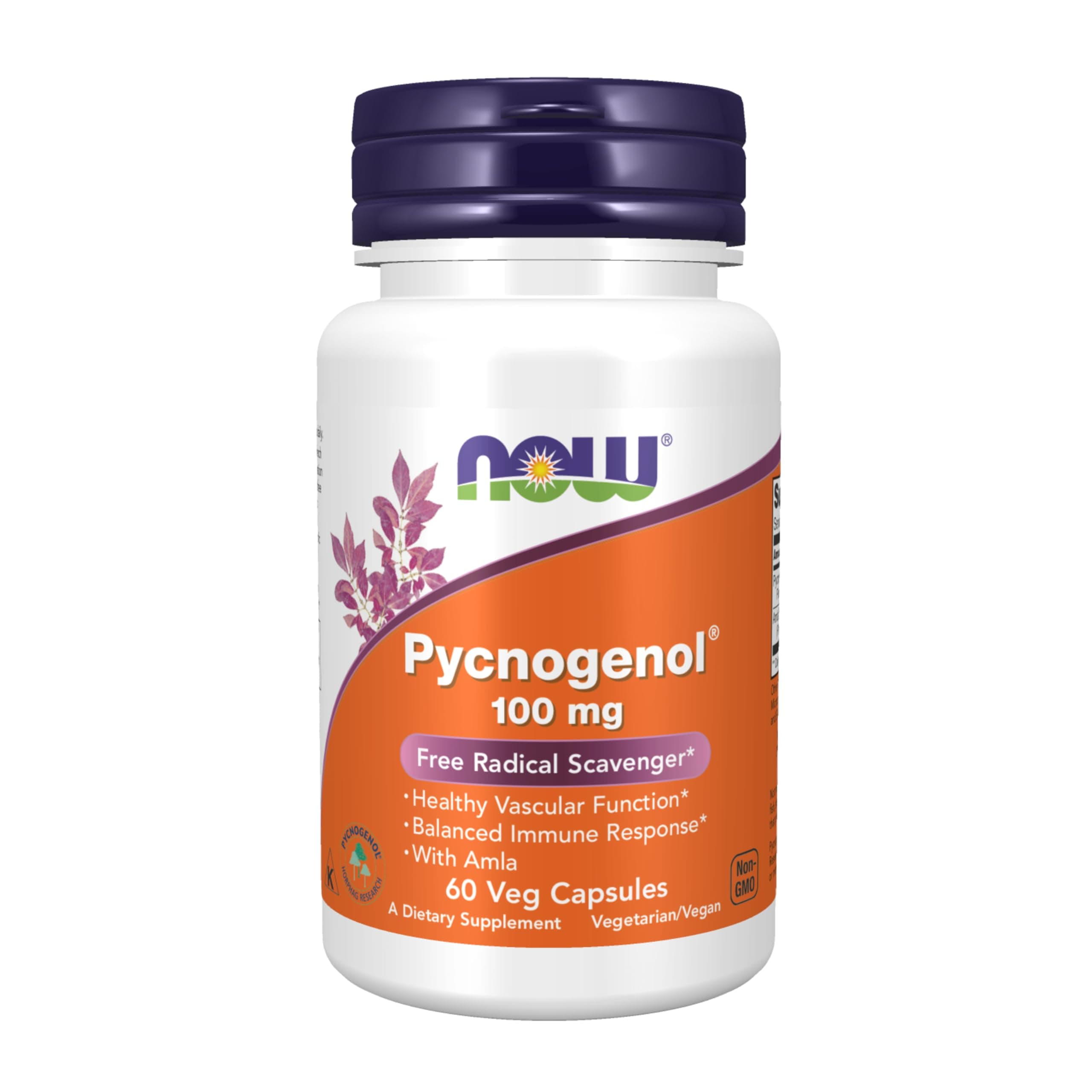 Now Foods Pycnogenol Veg Capsules, 100 mg, 60 Count
