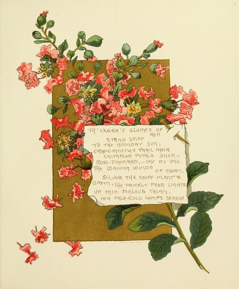 Bessie Gray – Bermuda in June 1893 Th'ixora's Fine Art Print (60.96 x 91.44 cm)