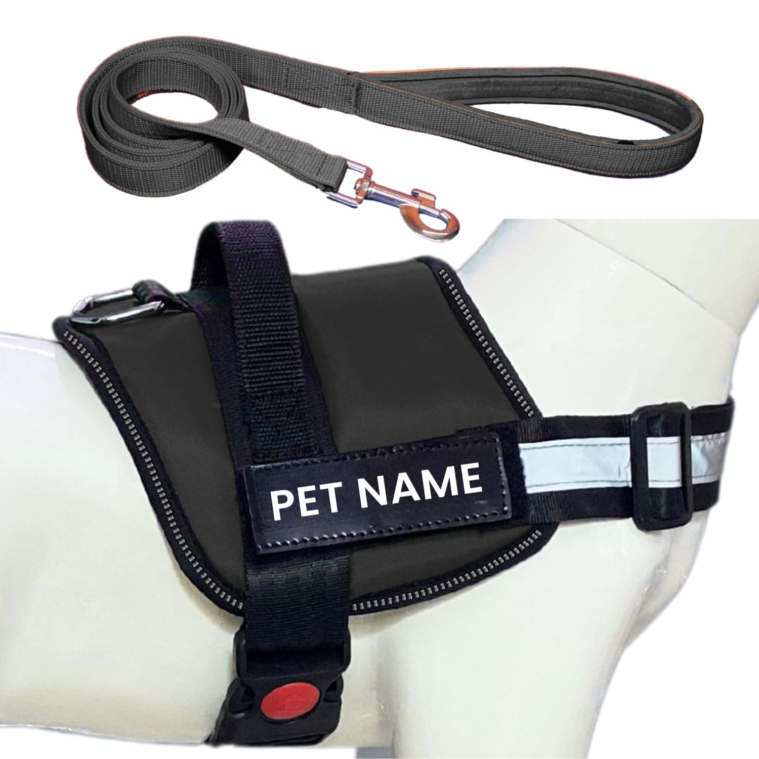 Customized Dog Vest Harness & Leash Combo Set with Pet Name Id