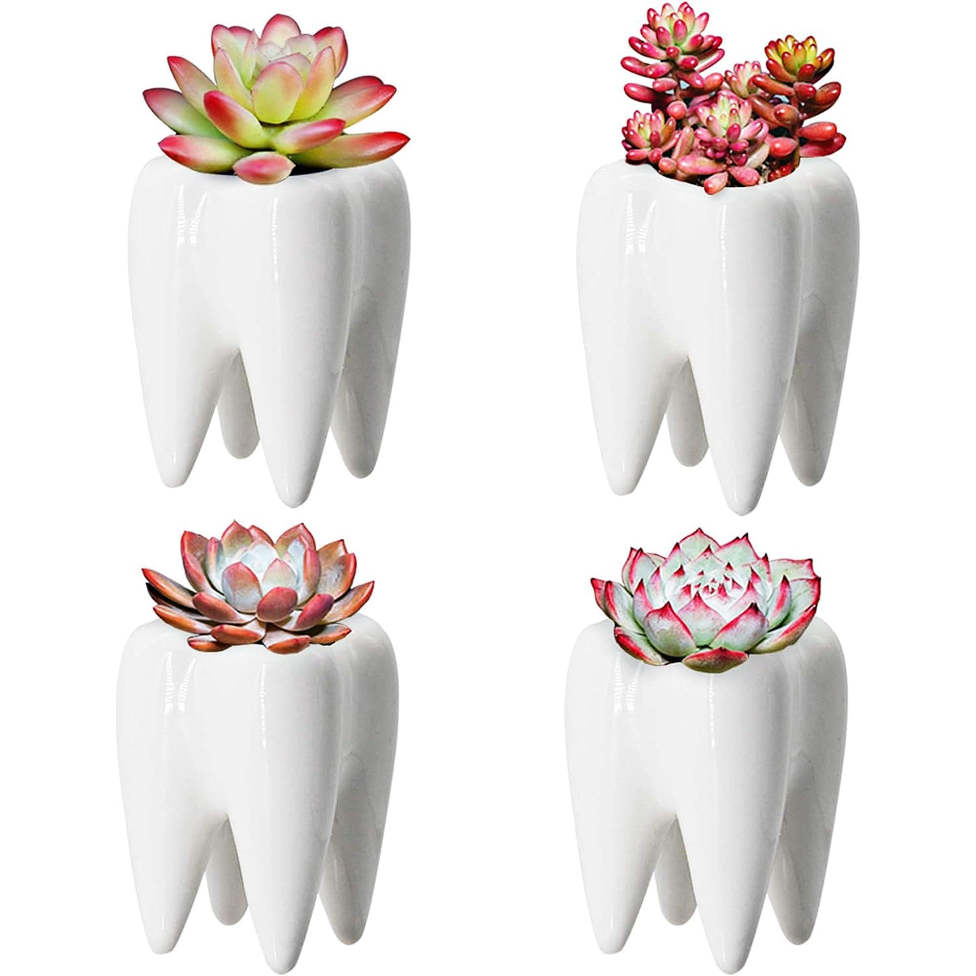 YOFIT Dental Assistant Appreciation Gifts – 4 Pack Ceramic Tooth Planter, Dental Hygienist Gifts Office Decor, Dentist Gift for Coworkers Women Student, White Succulent Flower Pot, 3.7"