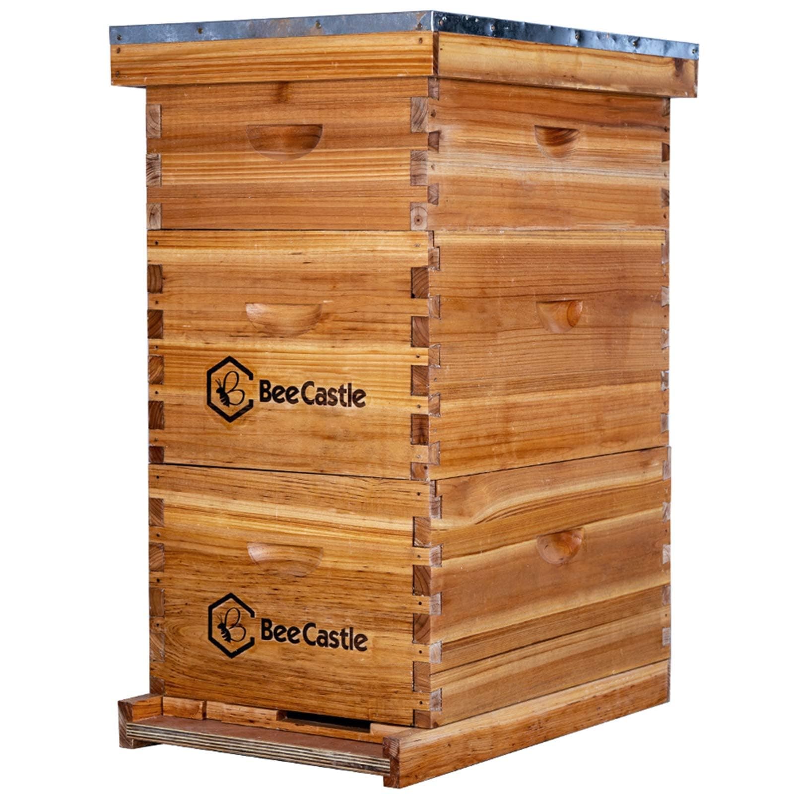 BeeCastle 8 Frame Langstroth Bee Hive Coated with Beeswax Includes Beehive Frames and Waxed Foundations (2 Deep Boxes & 1 Medium Box)